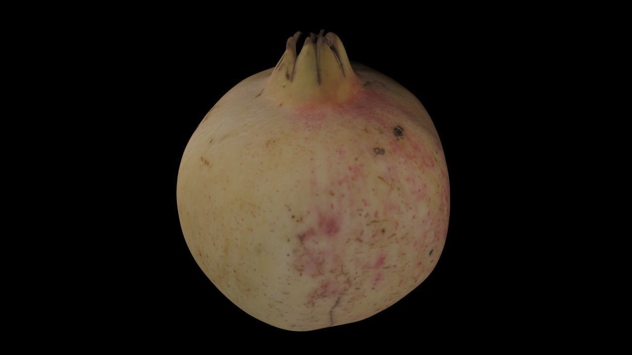 Pomegranate PBR Low-poly 3D model_6