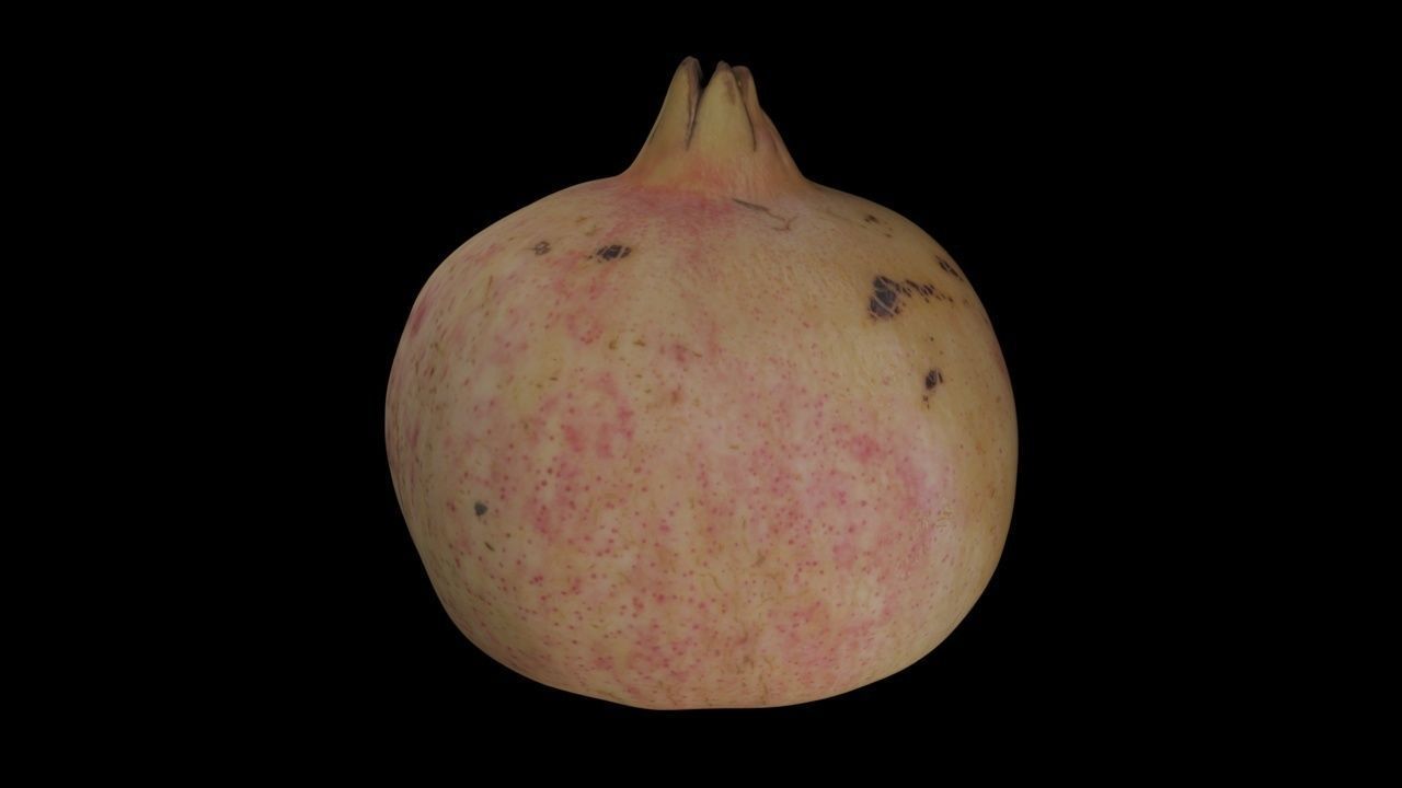 Pomegranate PBR Low-poly 3D model_5