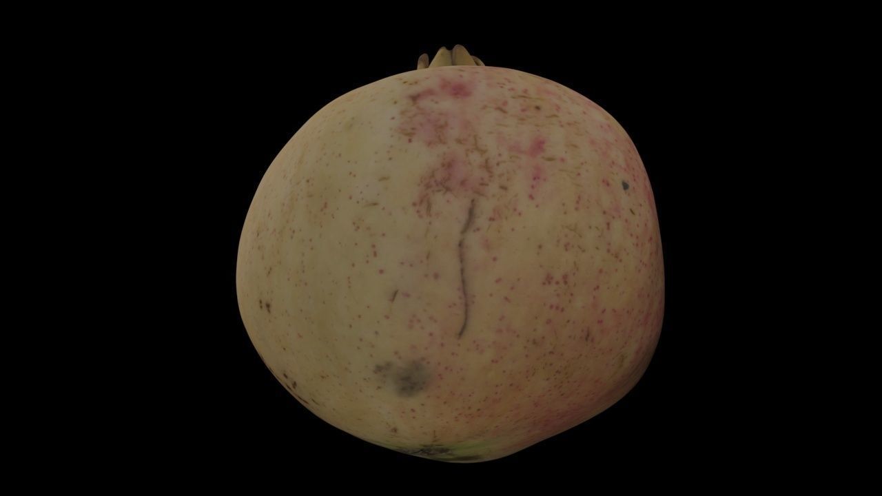 Pomegranate PBR Low-poly 3D model_8