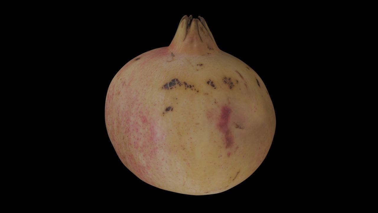 Pomegranate PBR Low-poly 3D model_2