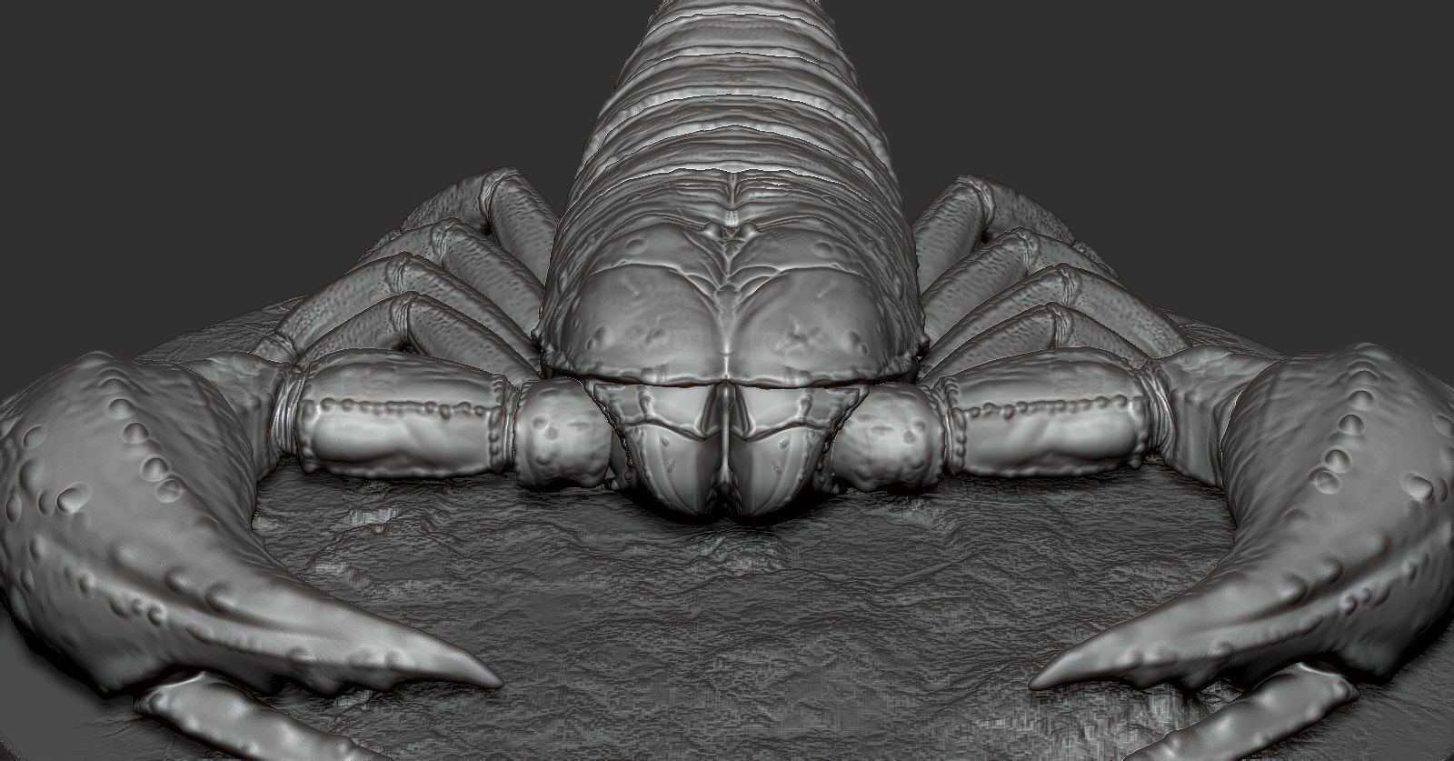 Scorpion toy on table 3D print model_4