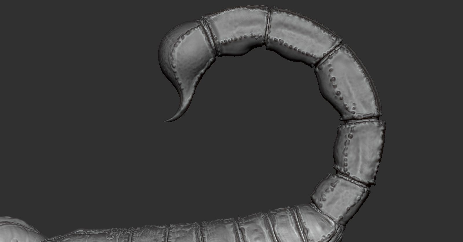 Scorpion toy on table 3D print model_6