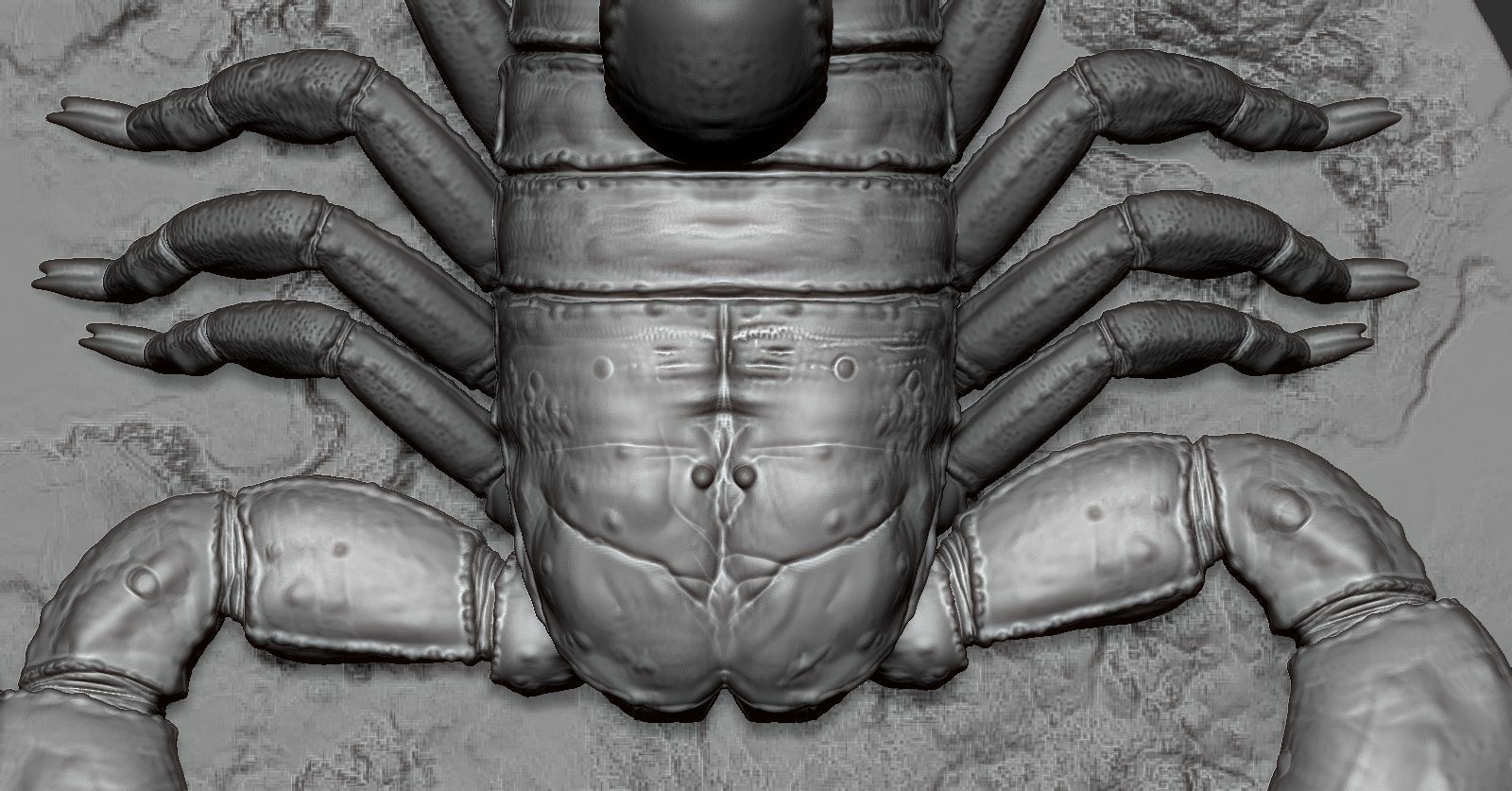 Scorpion toy on table 3D print model_5