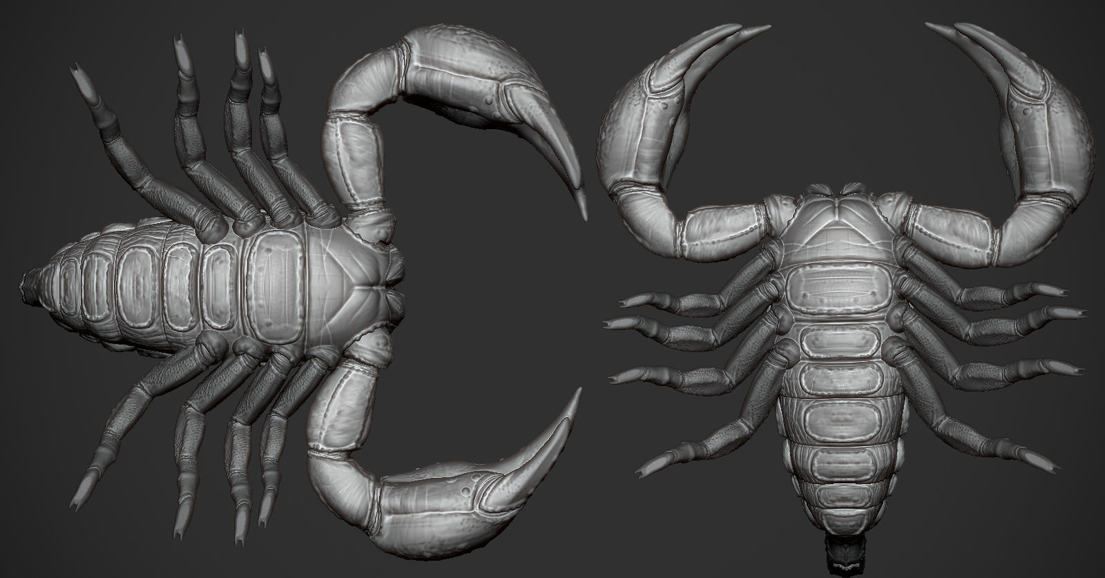 Scorpion toy on table 3D print model_2