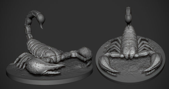 Scorpion toy on table 3D print model