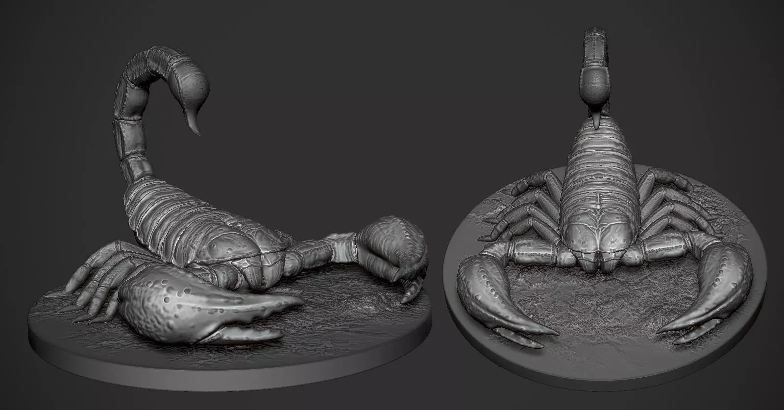 Scorpion toy on table 3D print model_0