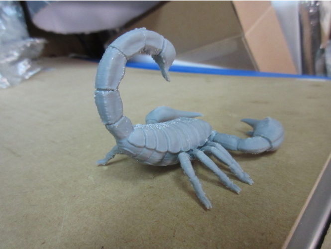 Scorpion toy on table 3D print model_11