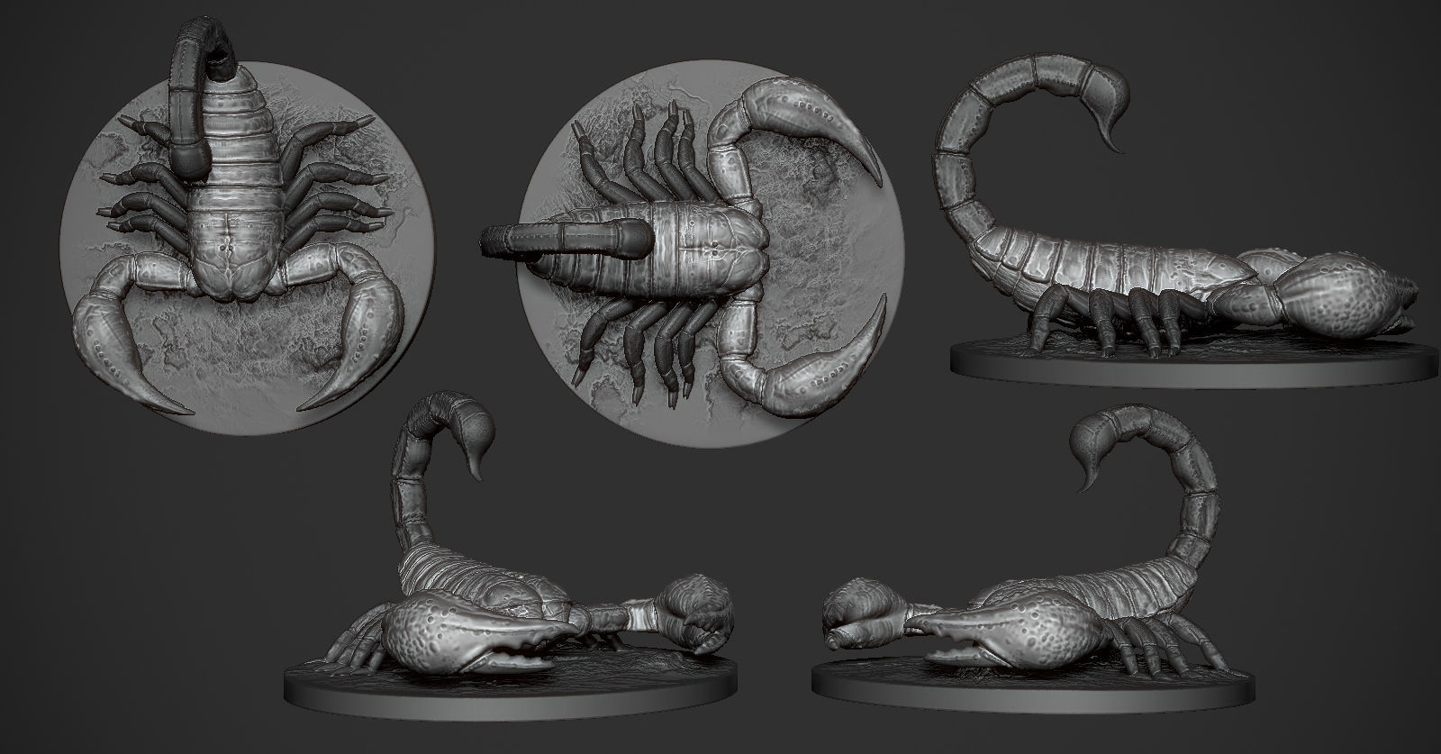 Scorpion toy on table 3D print model_3