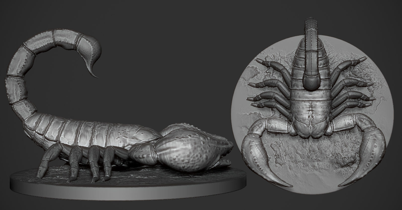 Scorpion toy on table 3D print model_1