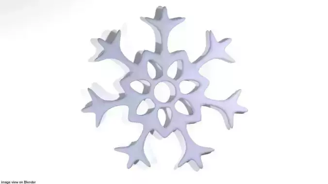 Snowflake - Type 3