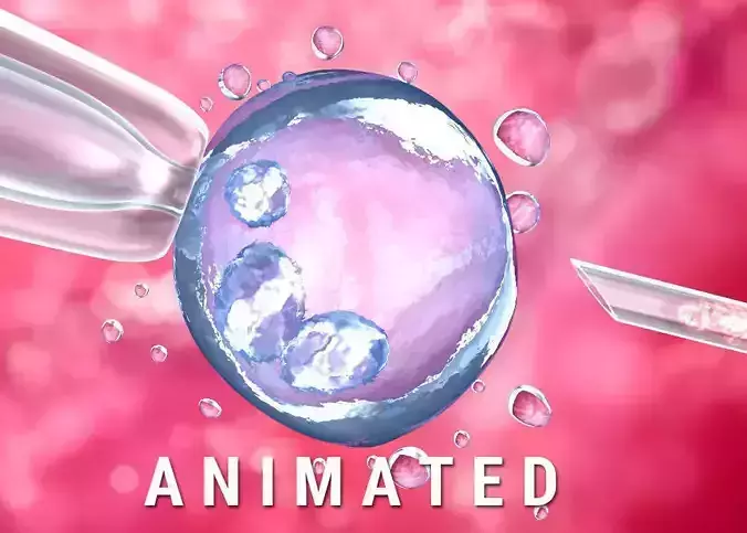  Artificial insemination - glass needle fertilizing a female egg