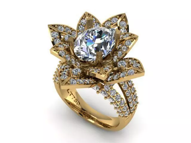 Ring T00244 3D print model_0