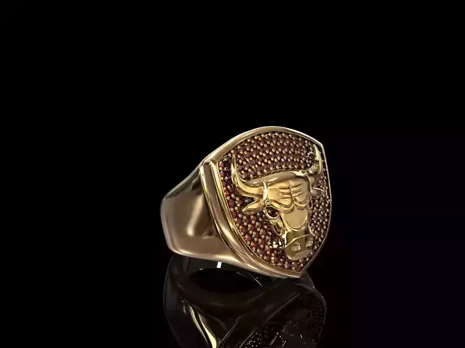 Ring Chicago Bulls 