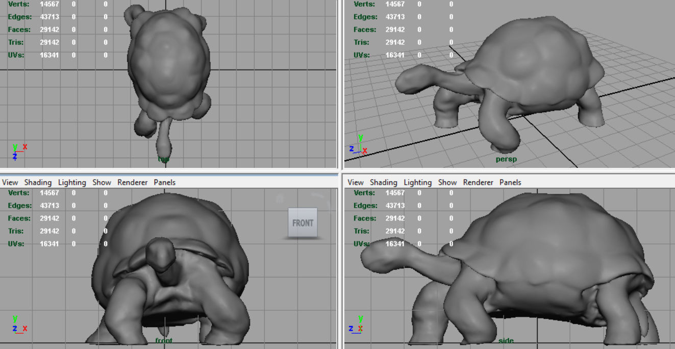 Giant Tortoise 3D model_5