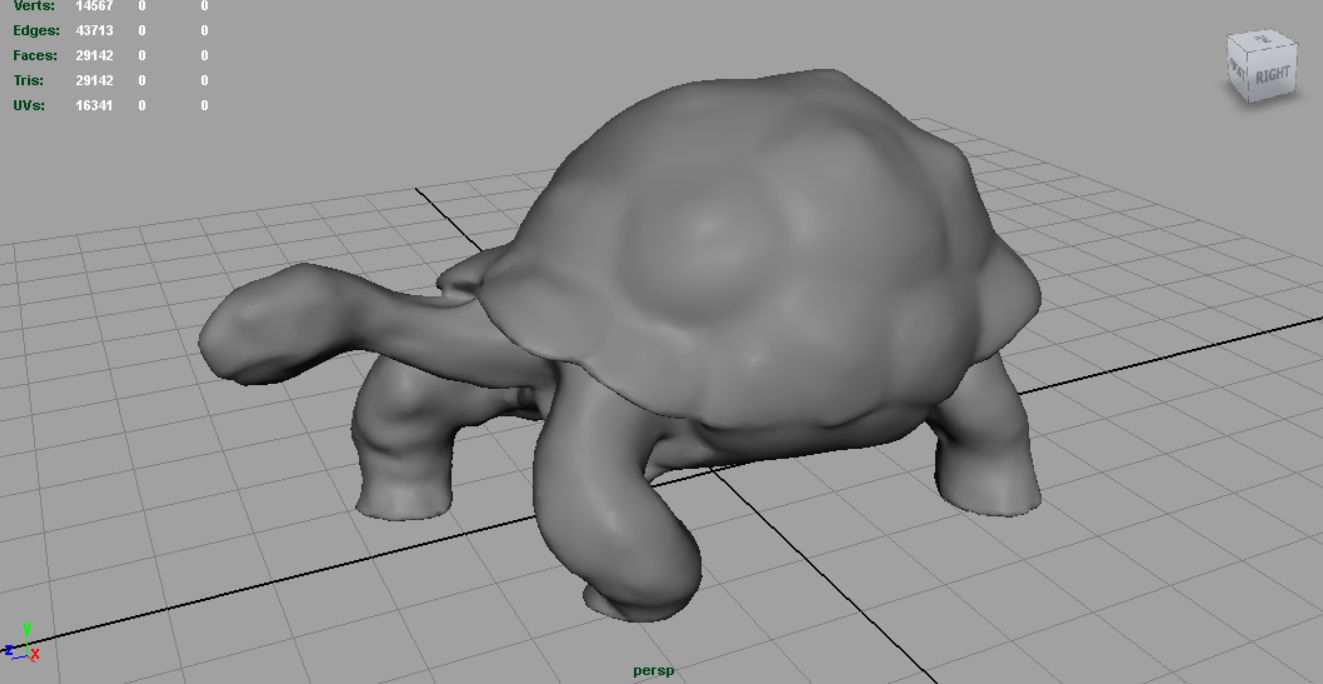 Giant Tortoise 3D model_3