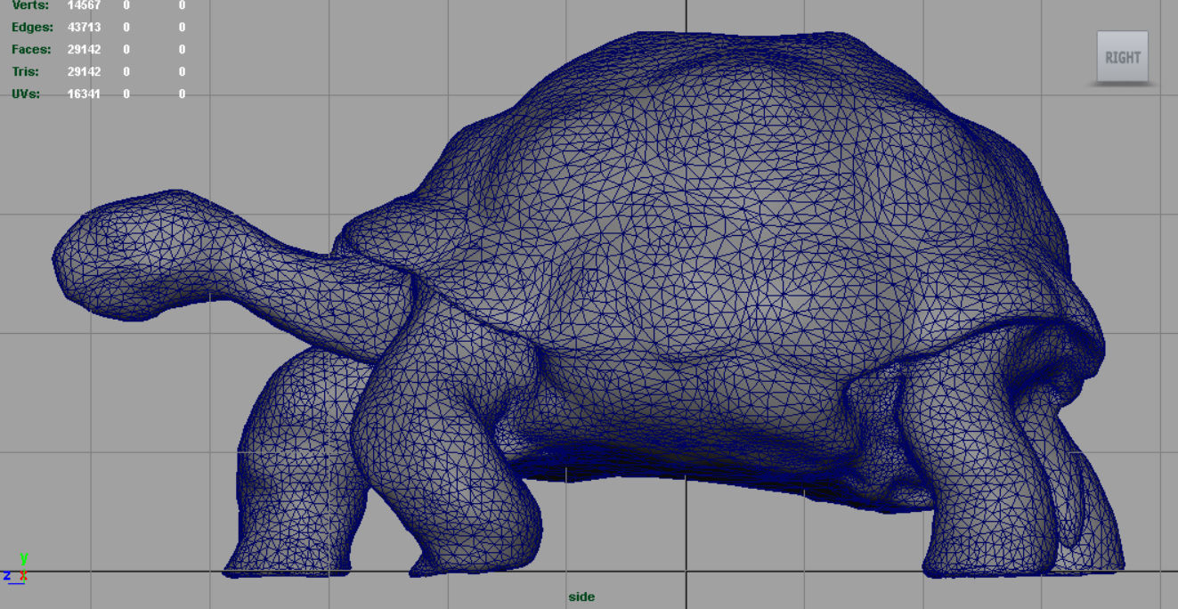 Giant Tortoise 3D model_9