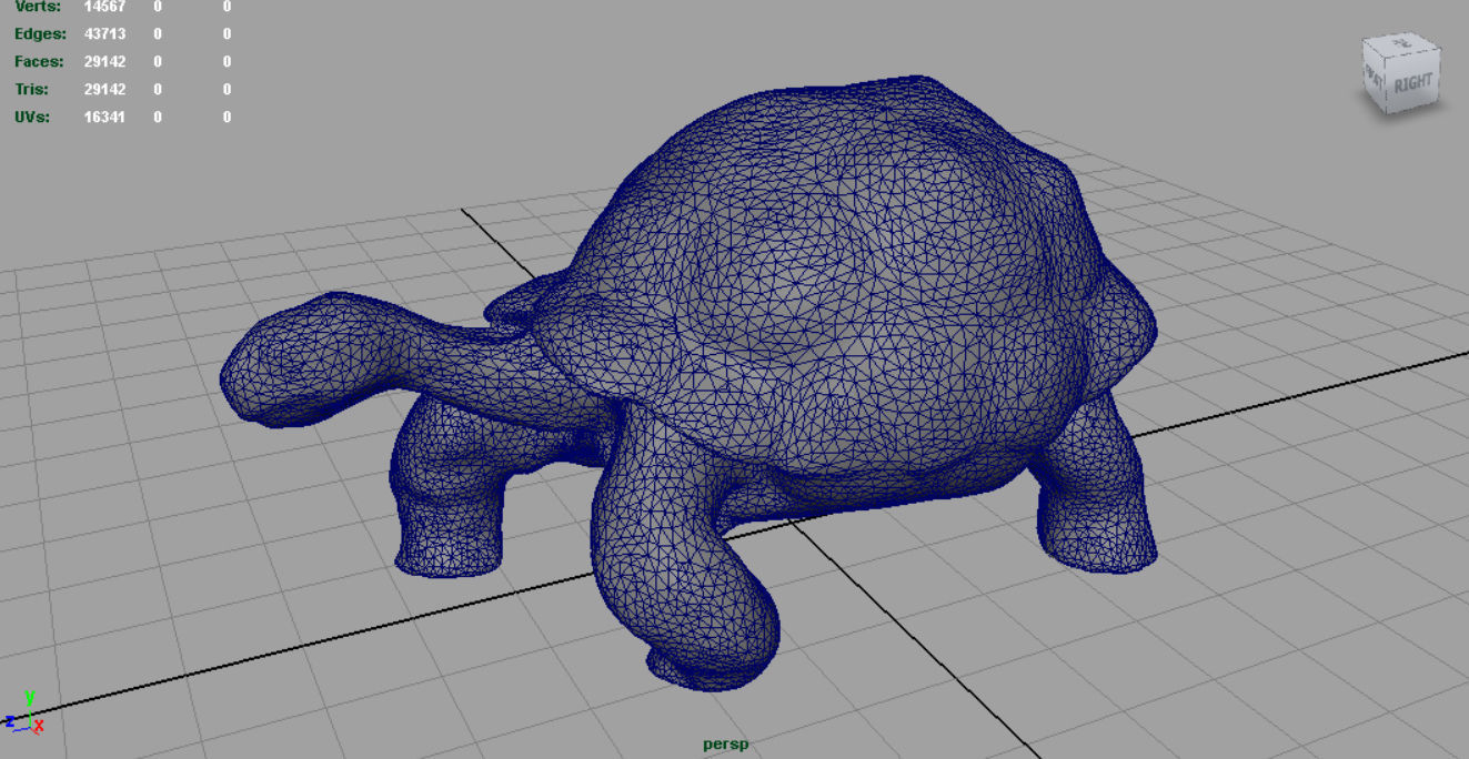 Giant Tortoise 3D model_4