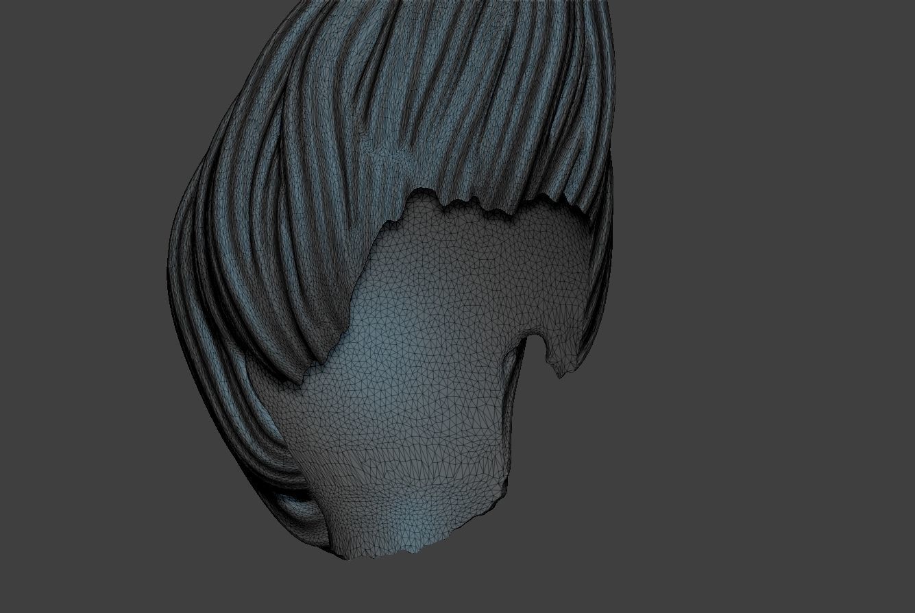Female Hair 3D print model_8
