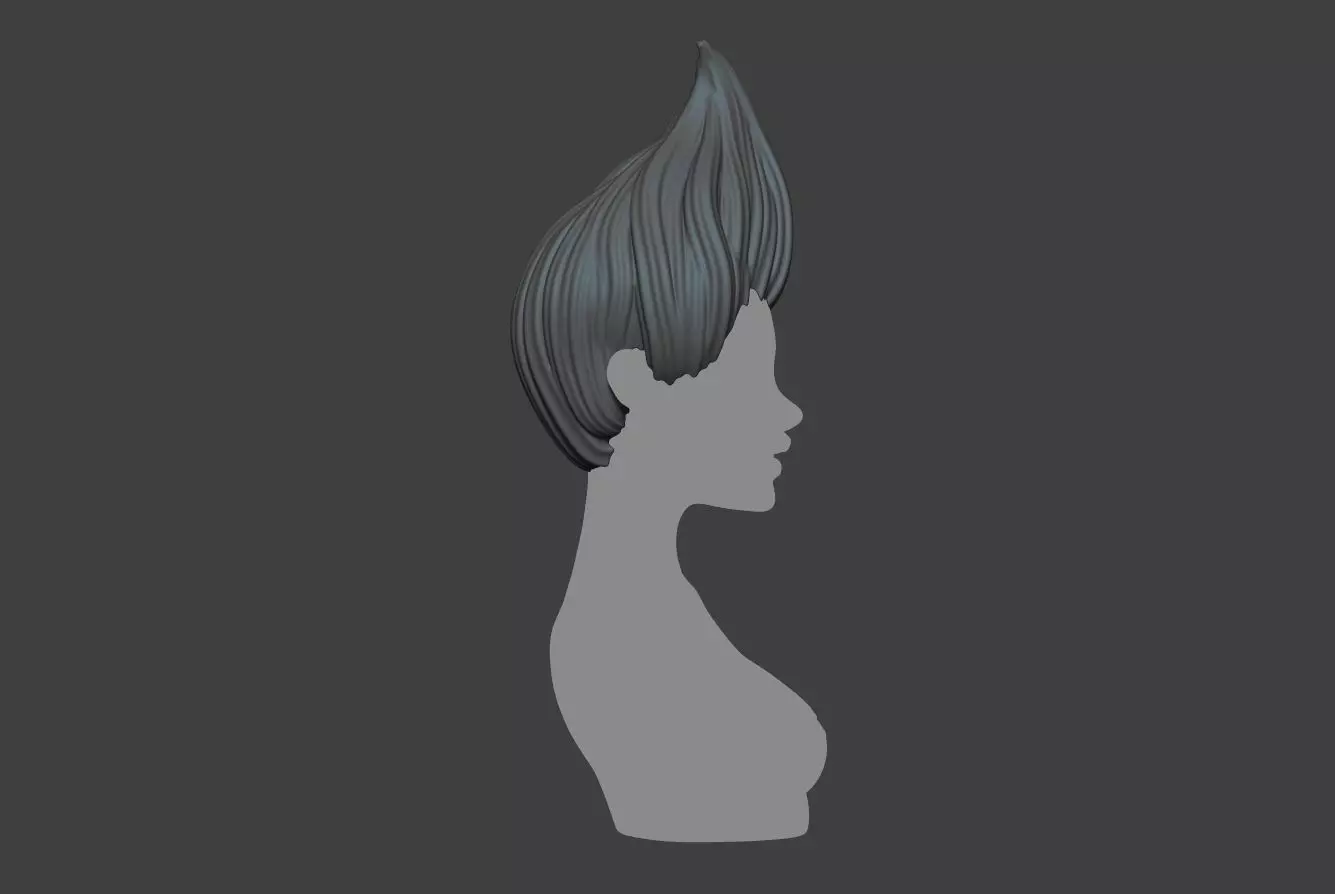 Female Hair 3D print model_0
