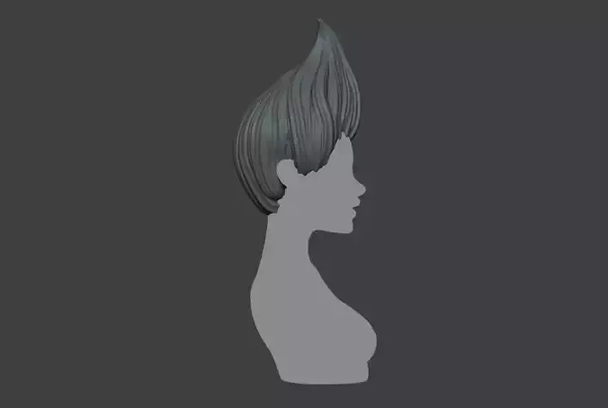 Female Hair 3D print model