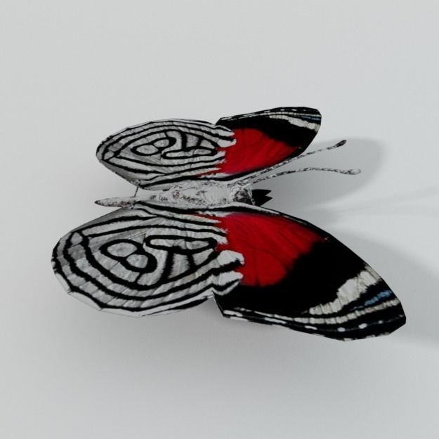 Butterfly 89 Low-poly 3D model_2