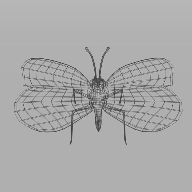 Butterfly 89 Low-poly 3D model_4