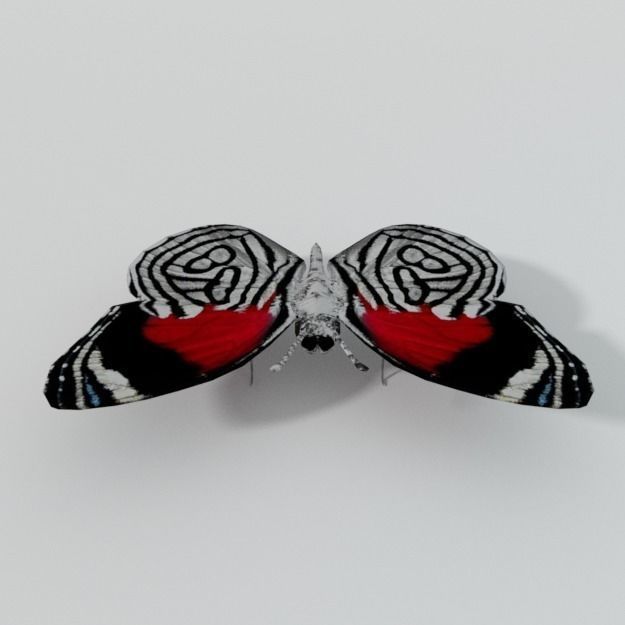 Butterfly 89 Low-poly 3D model_3