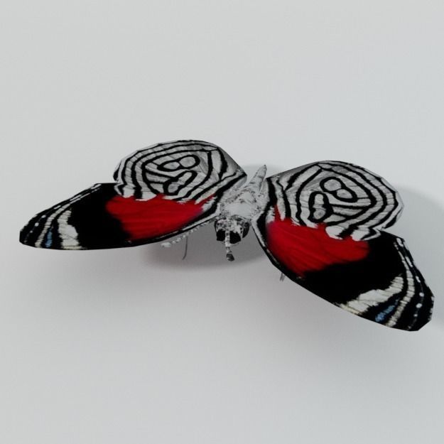 Butterfly 89 Low-poly 3D model_1