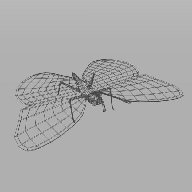 Butterfly 89 Low-poly 3D model_5