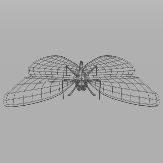Butterfly 89 Low-poly 3D model_6