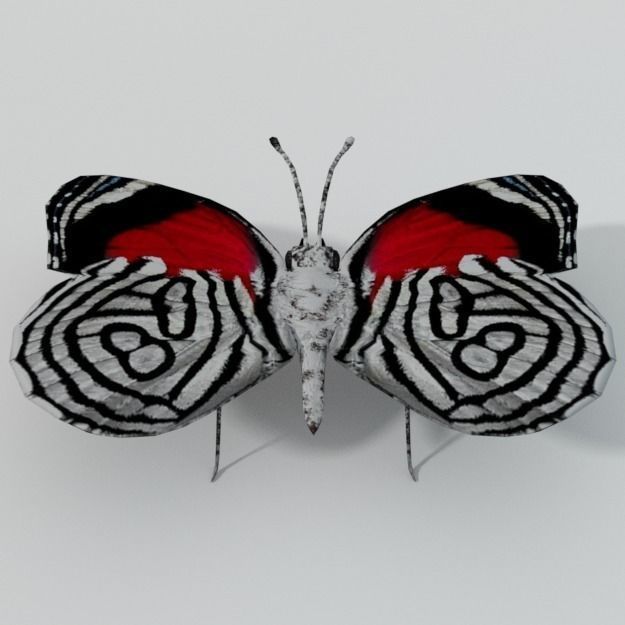 Butterfly 89 Low-poly 3D model_0