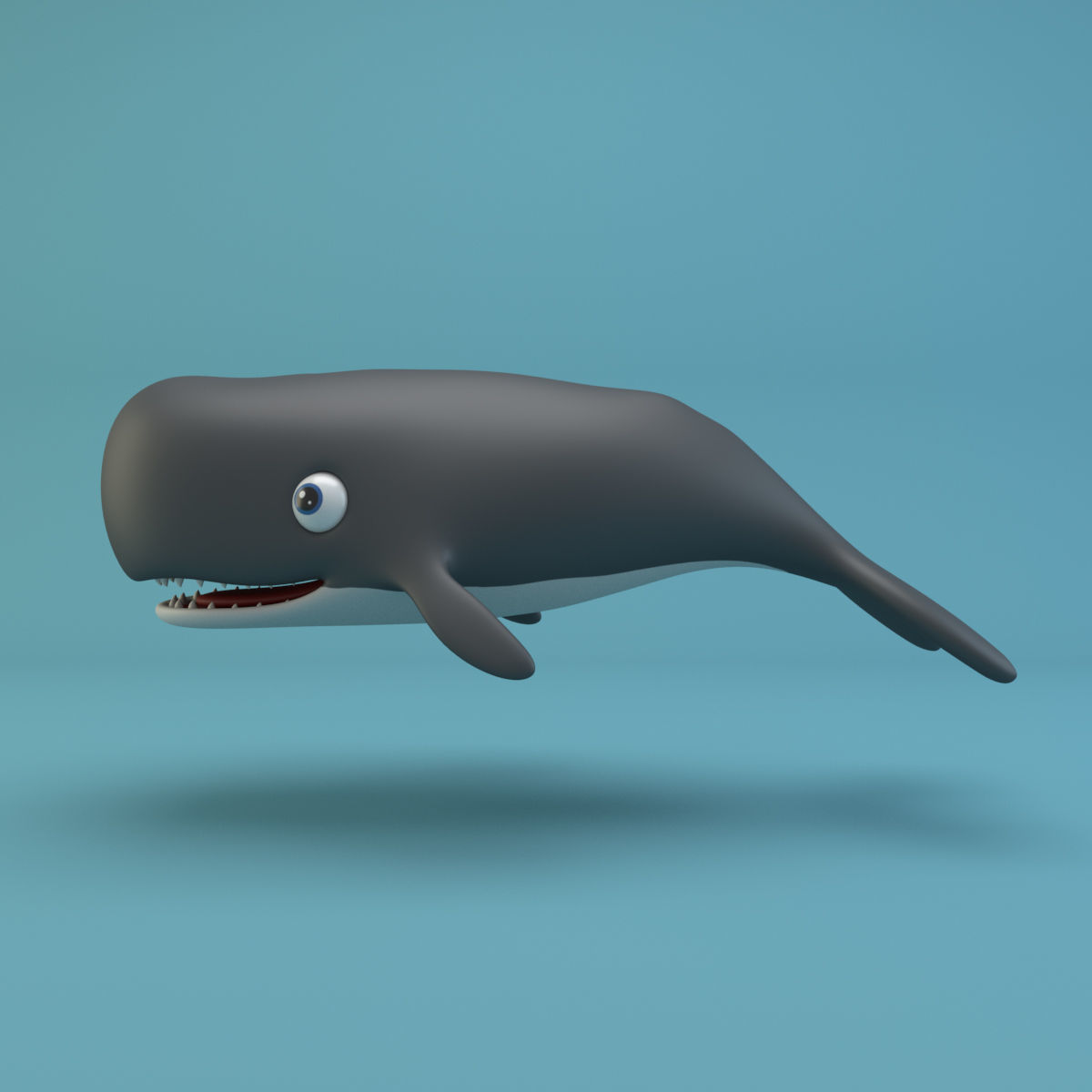 Cartoon Whale Low-poly 3D model_1