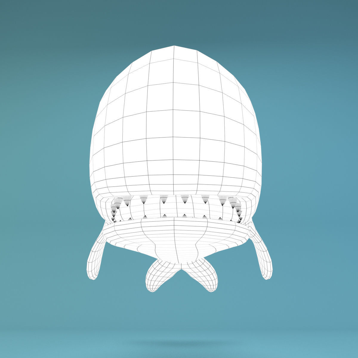 Cartoon Whale Low-poly 3D model_8