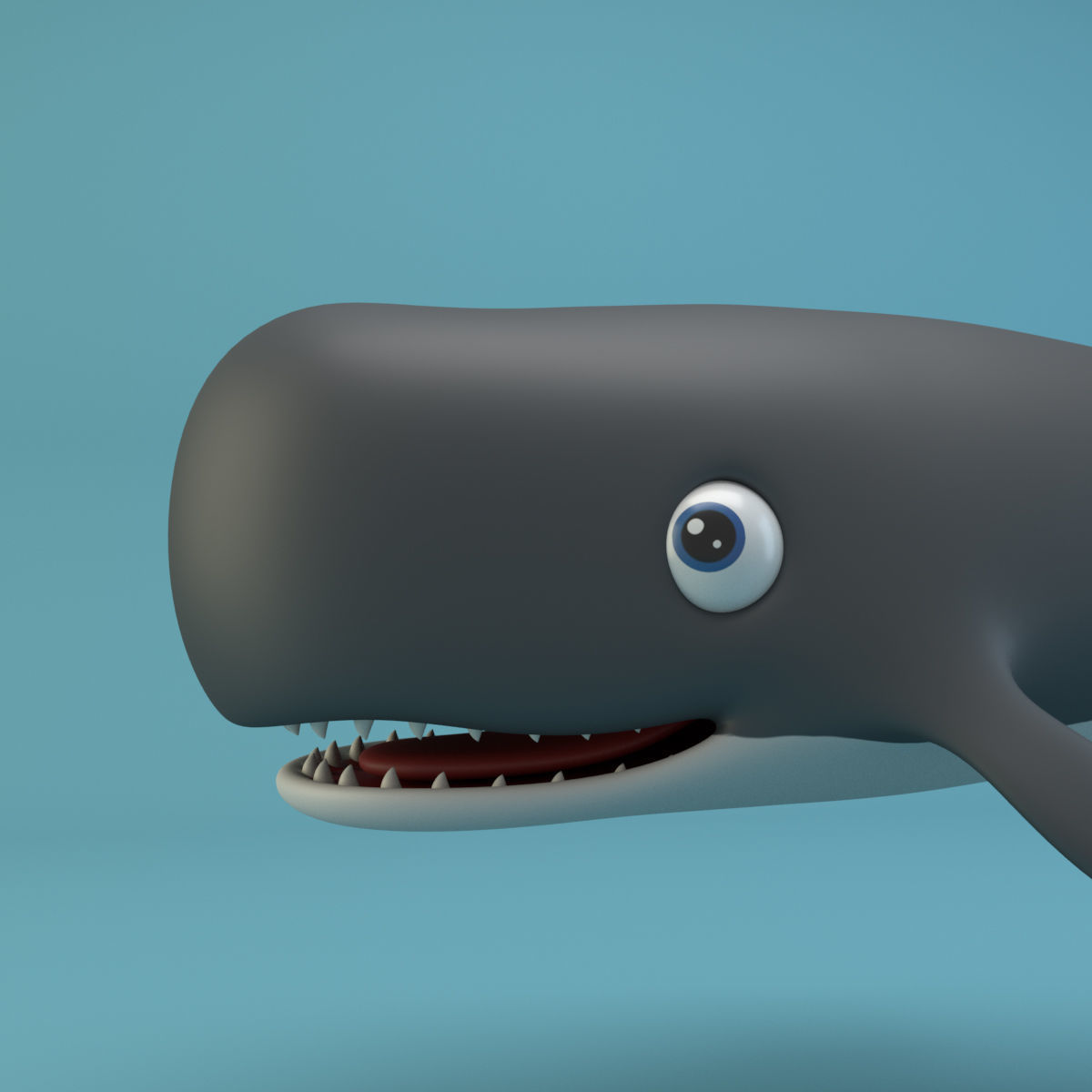 Cartoon Whale Low-poly 3D model_3