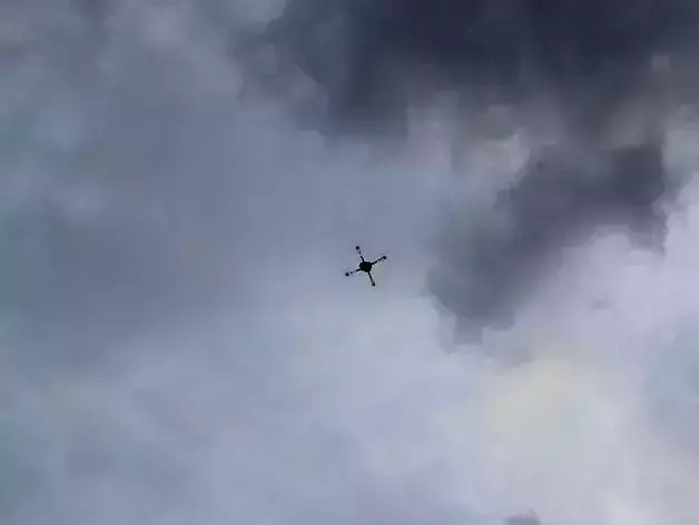 Delta Elite 3D Printable Quadcopter 3D print model