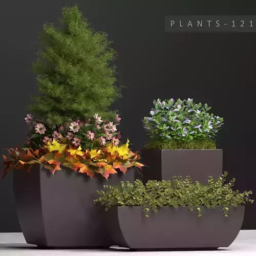 plants set 121