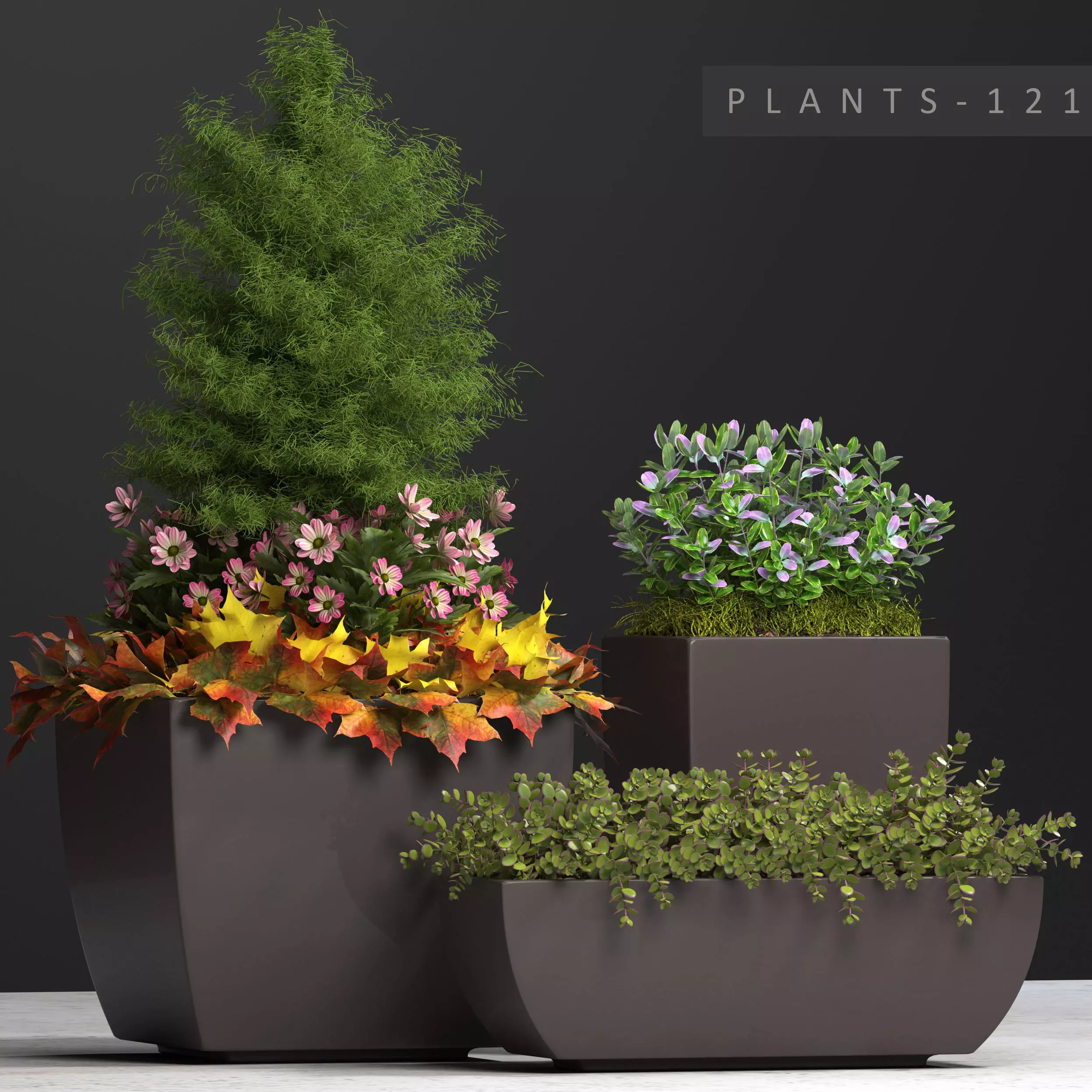 plants set 121 3D model