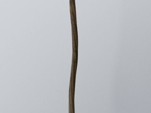 Brown Rope 3D model_1