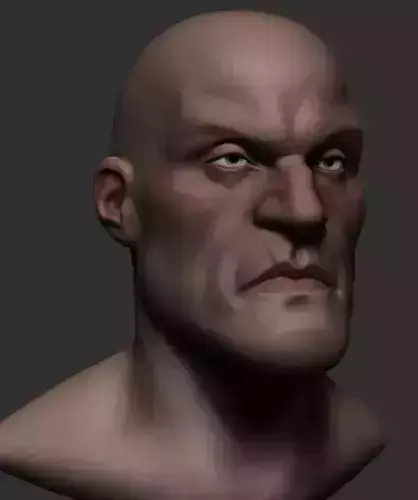 Base Stylized Head 3D model