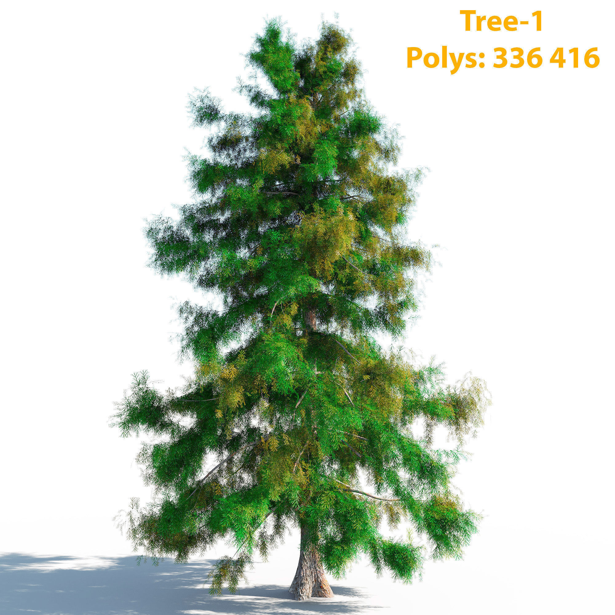 Cedar Tree Collection 5 Models 3D model_8