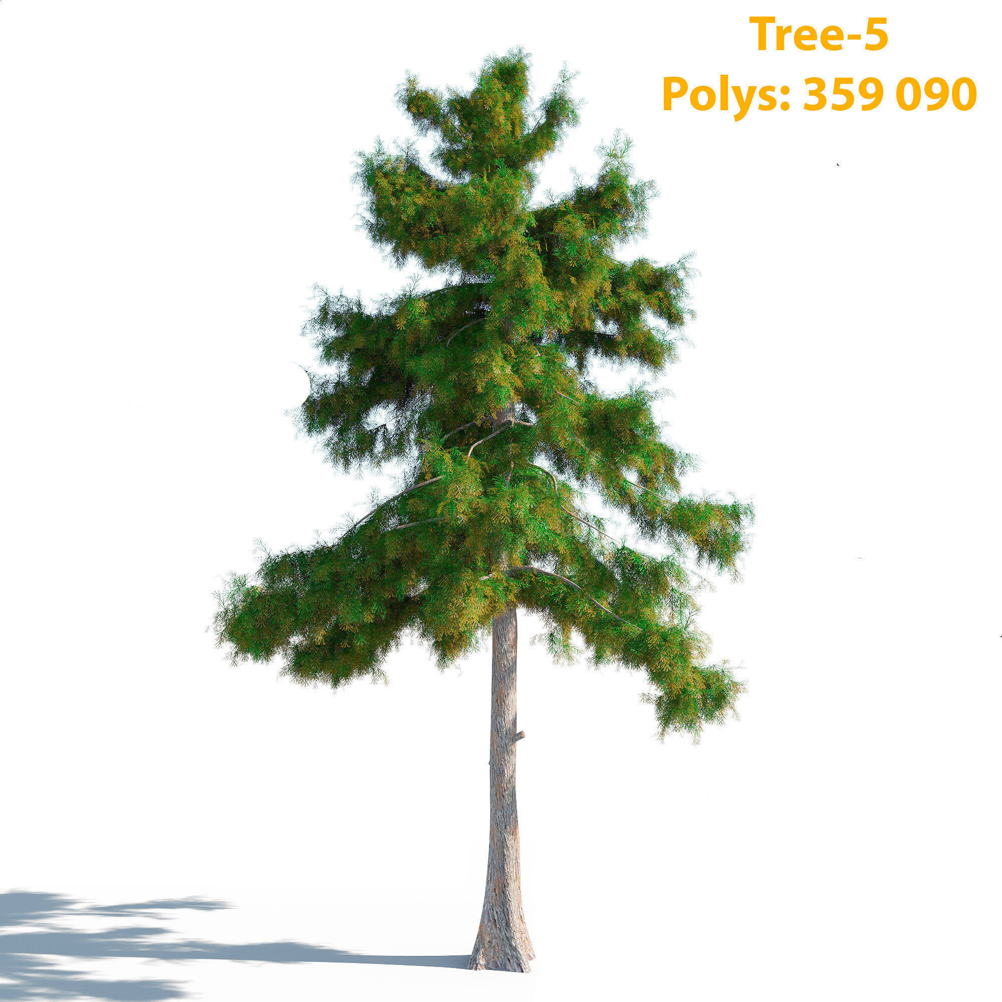 Cedar Tree Collection 5 Models 3D model_12