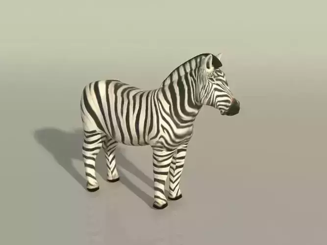 Zebra - Editable Free 3D model