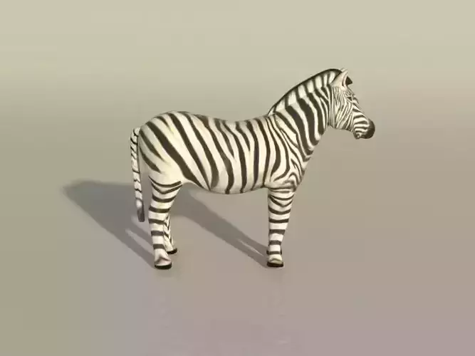 Zebra 3D model