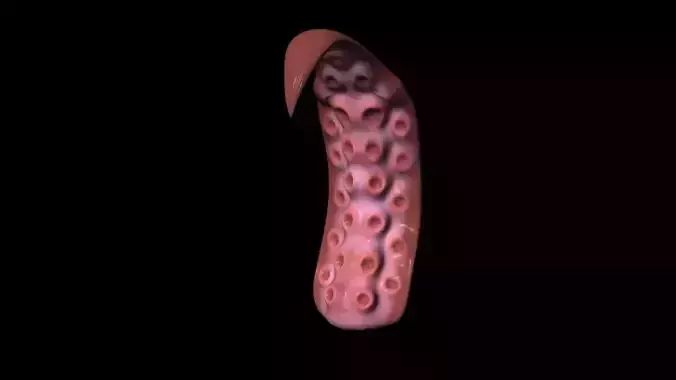 HighPoly Tentacle octopus Free 3D model