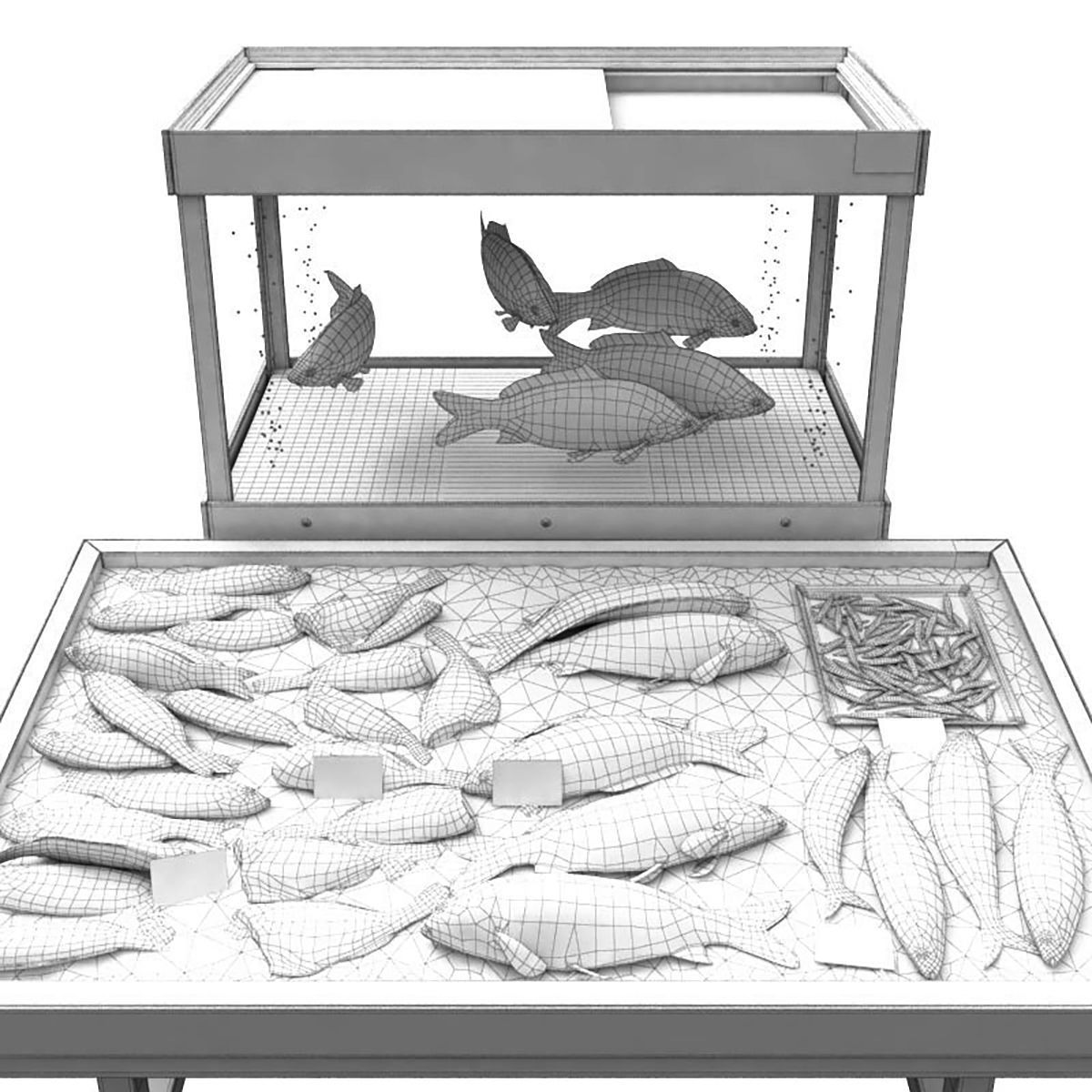 Fish counter 3D model_4