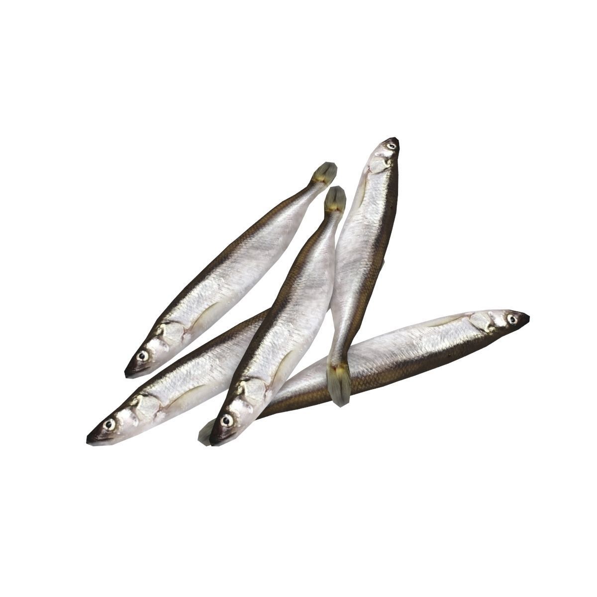 Fish counter 3D model_7