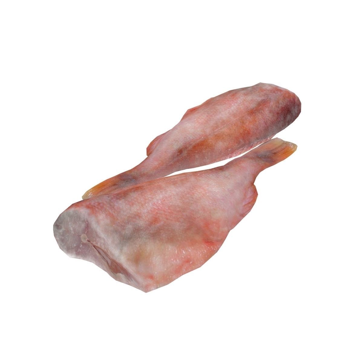 Fish counter 3D model_8