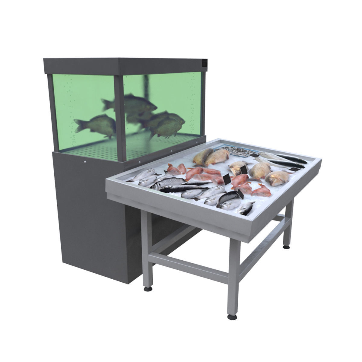 Fish counter 3D model_3