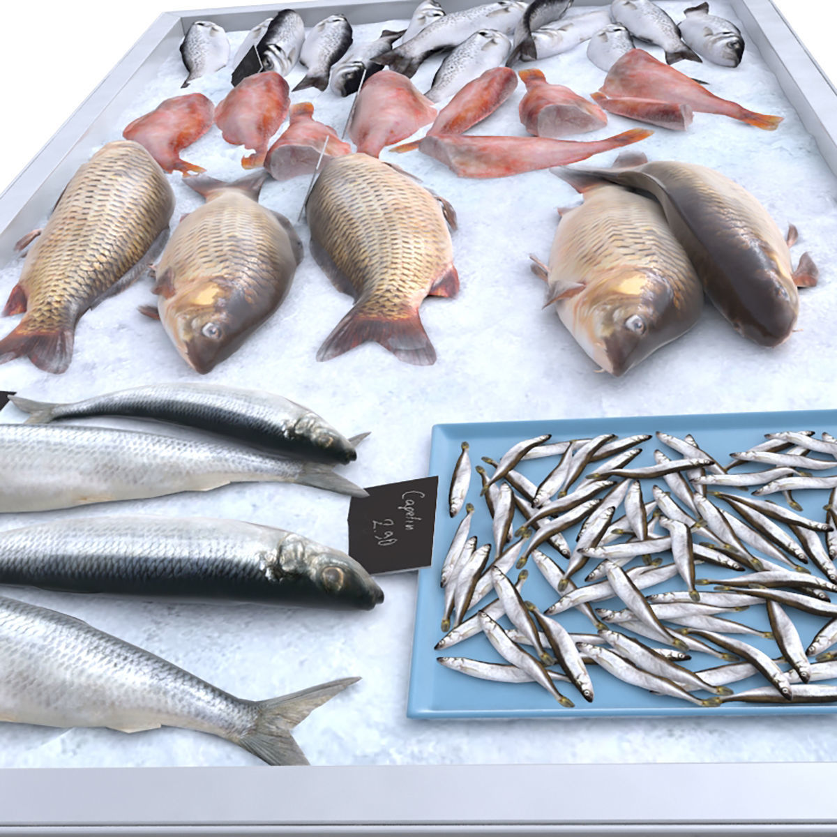 Fish counter 3D model_1
