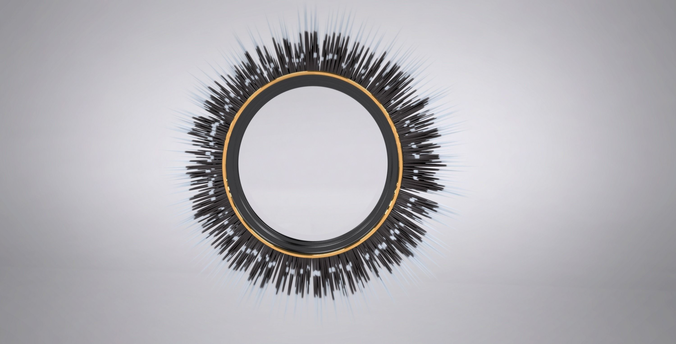 Porcupine Quill Mirror 3D model